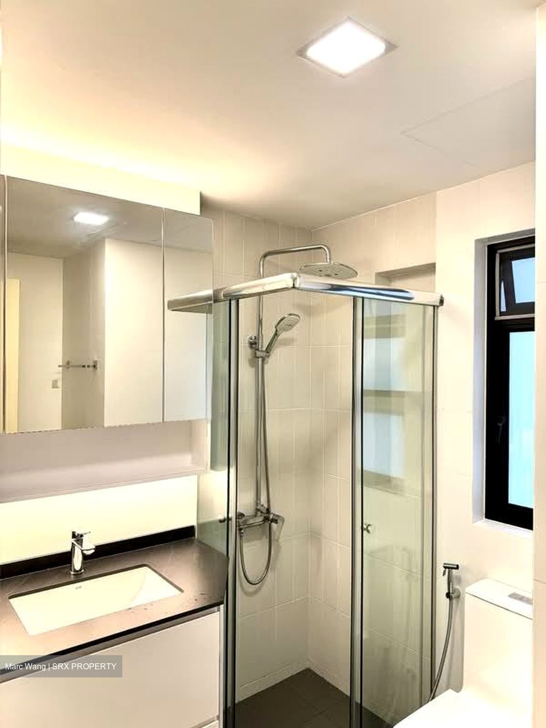 Pinewood Gardens (D10), Condominium #526789521